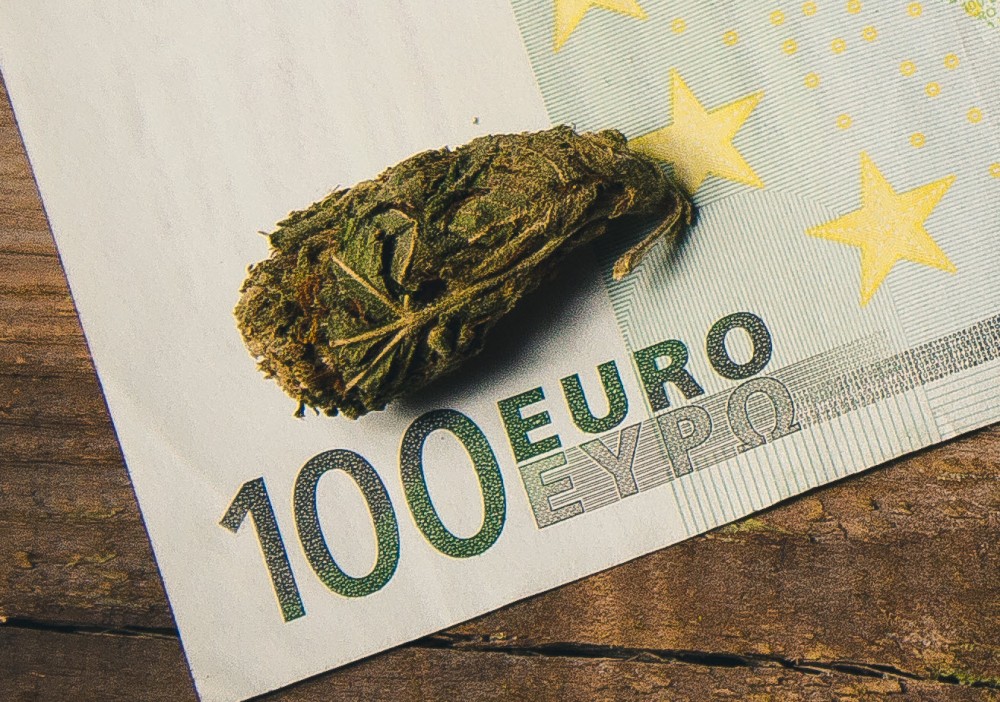 european cannabis news reports